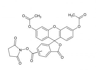 5-FAM|5(6)-Ȼɹض